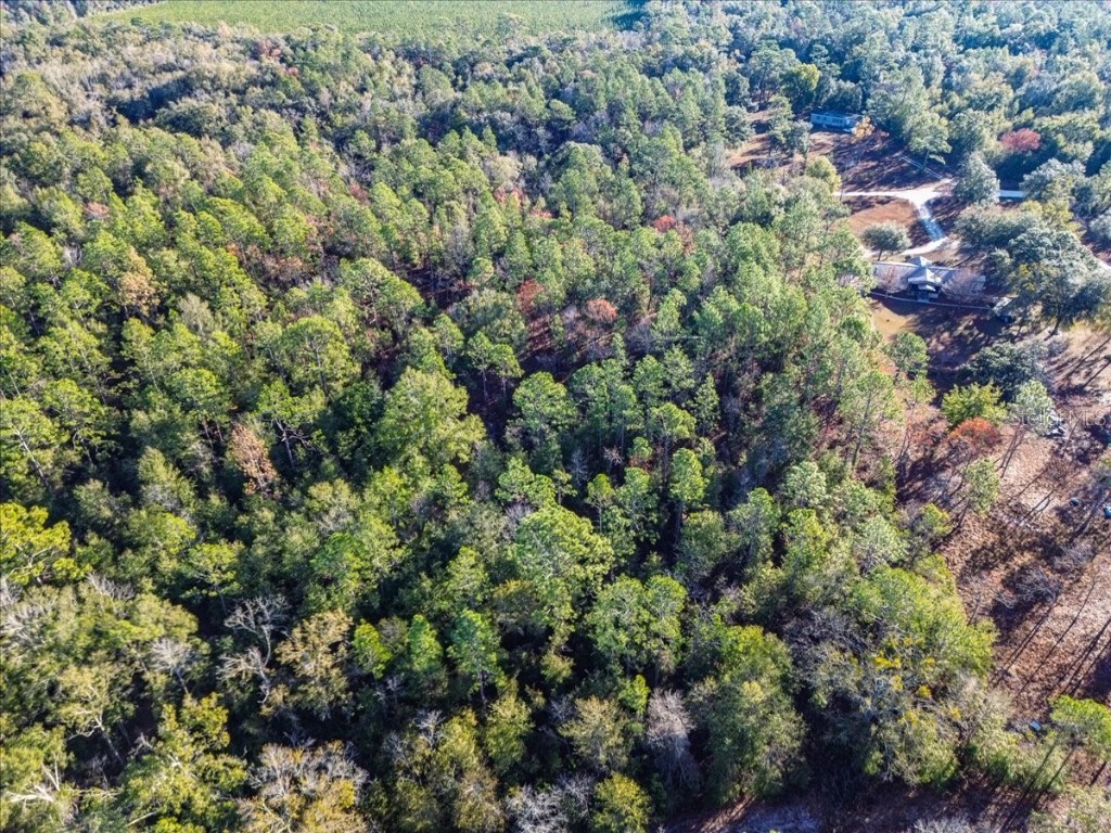 103rd Drive O'Brien FL 32071 GC536129 image16
