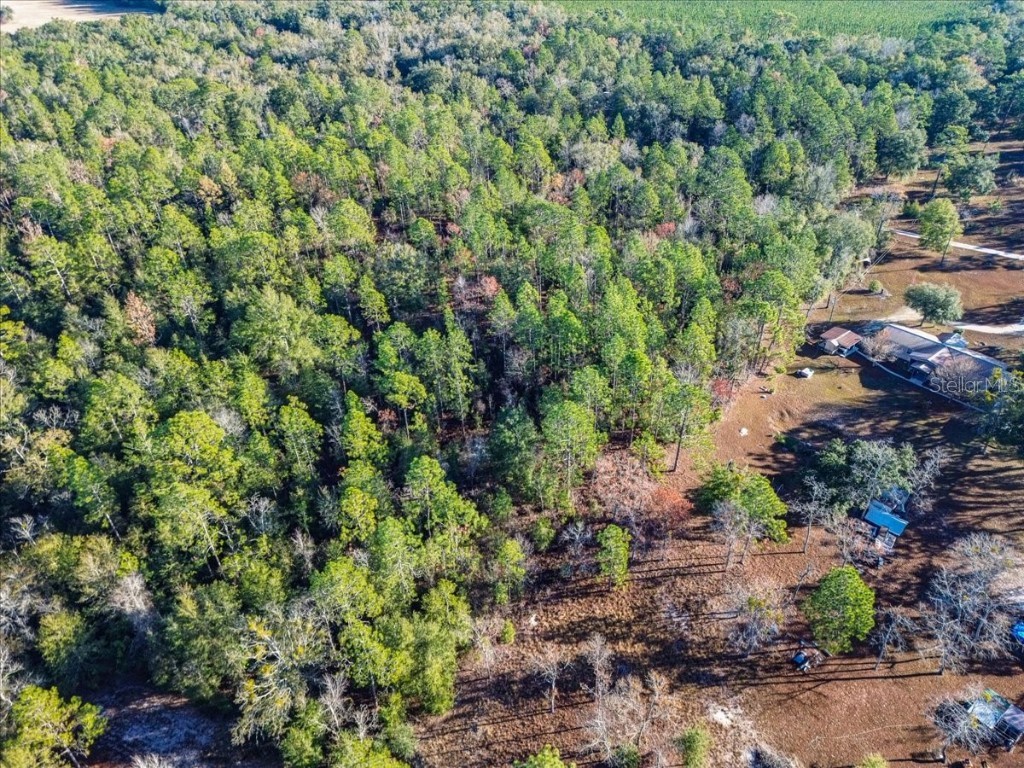 103rd Drive O'Brien FL 32071 GC536129 image17