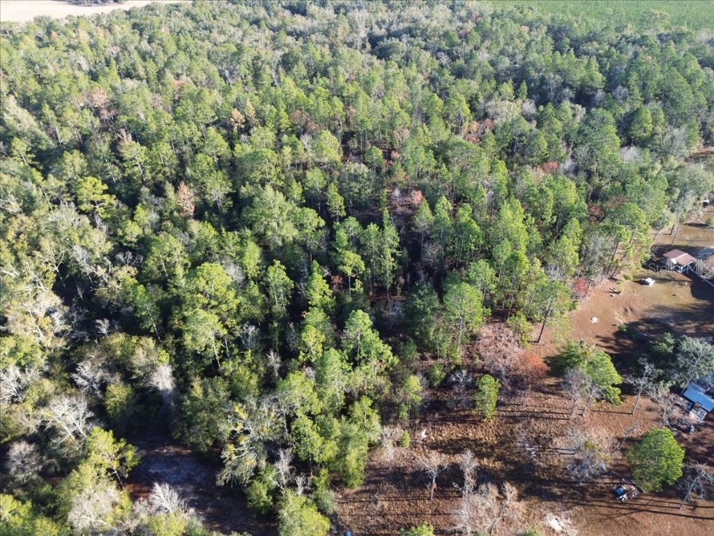 103rd Drive O'Brien FL 32071 GC536129 image18
