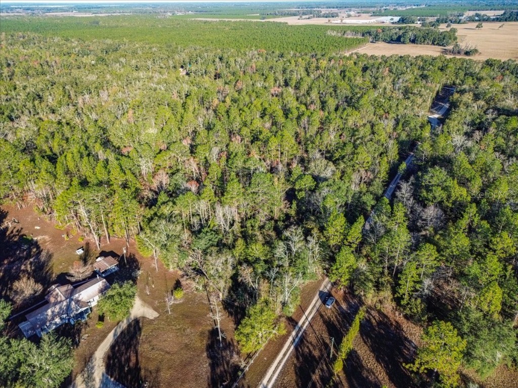 103rd Drive O'Brien FL 32071 GC536129 image19