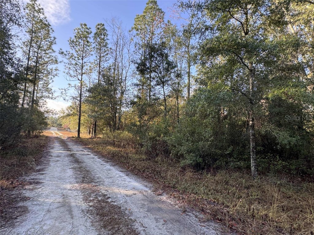 103rd Drive O'Brien FL 32071 GC536129 image2
