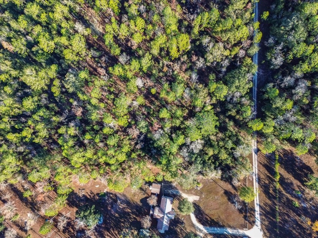 103rd Drive O'Brien FL 32071 GC536129 image20