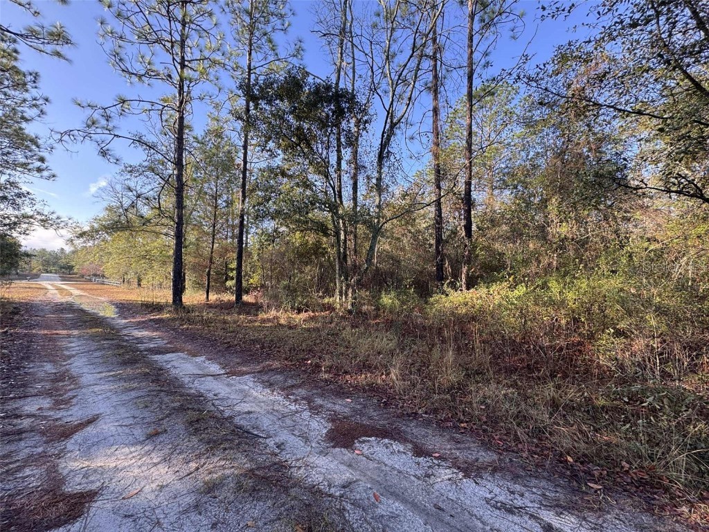 103rd Drive O'Brien FL 32071 GC536129 image3