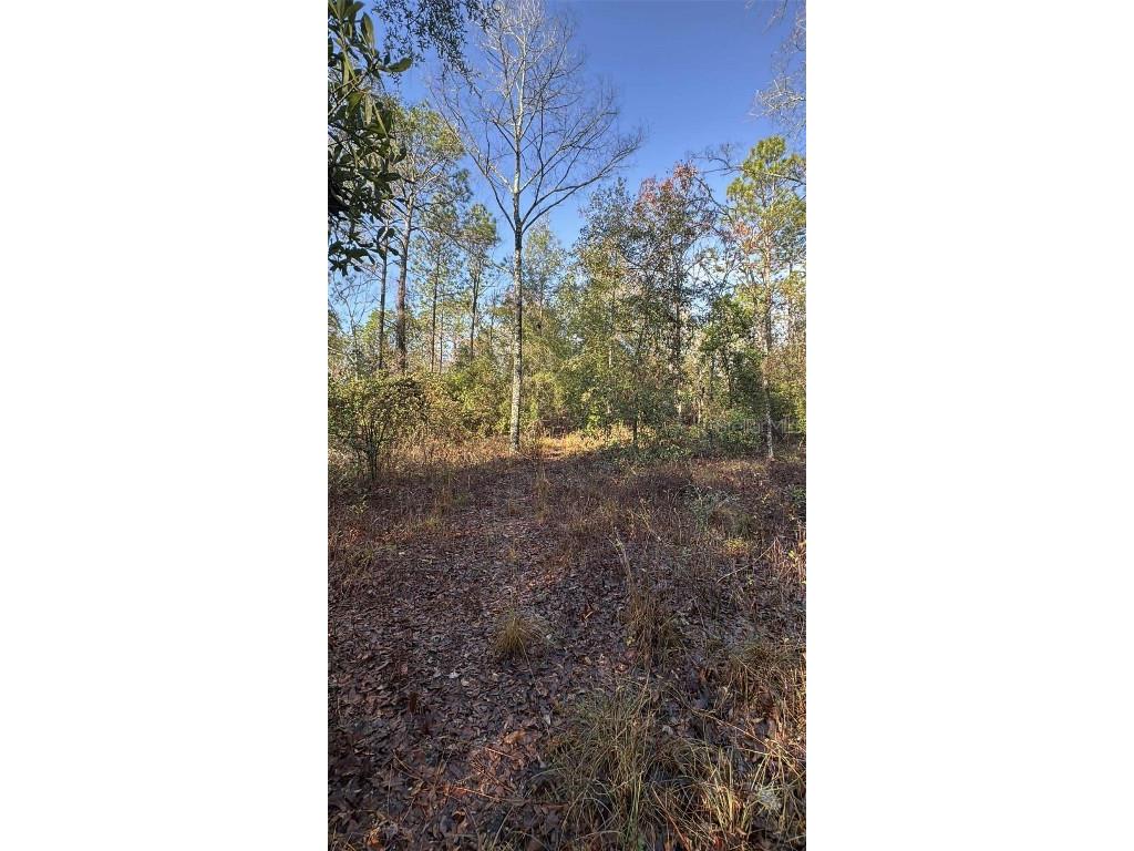 103rd Drive O'Brien FL 32071 GC536129 image7