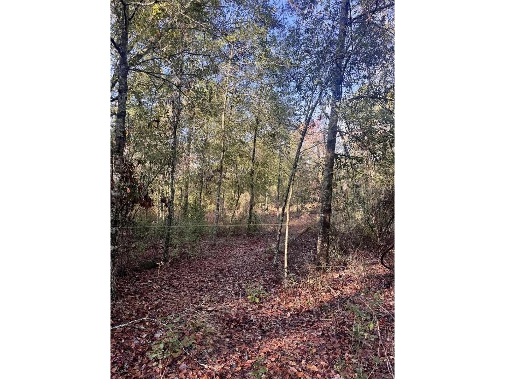 103rd Drive O'Brien FL 32071 GC536129 image8