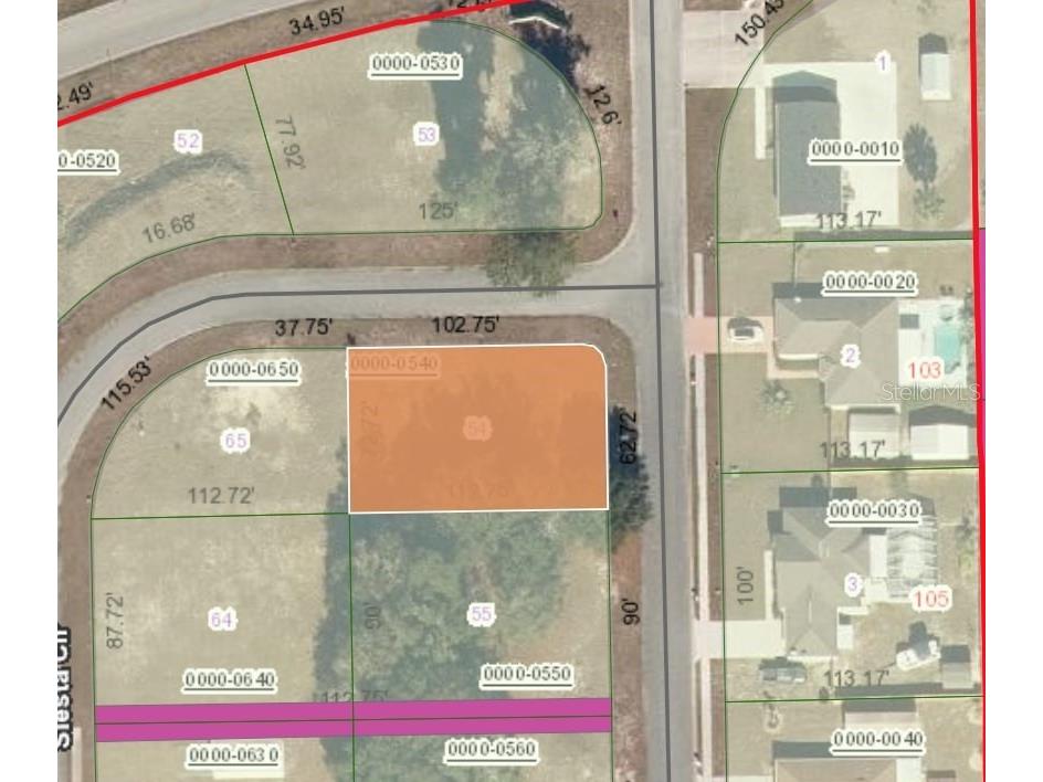 104 Village Drive Welaka FL 32193 FC313930 image1