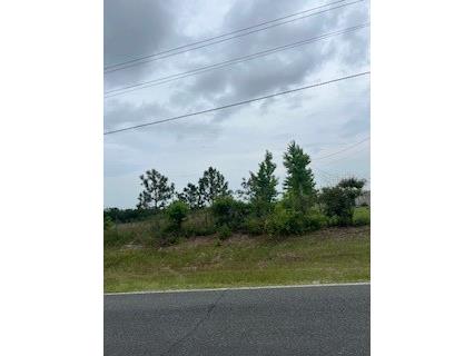 104th Street Live Oak FL 32060 W7878961 image1
