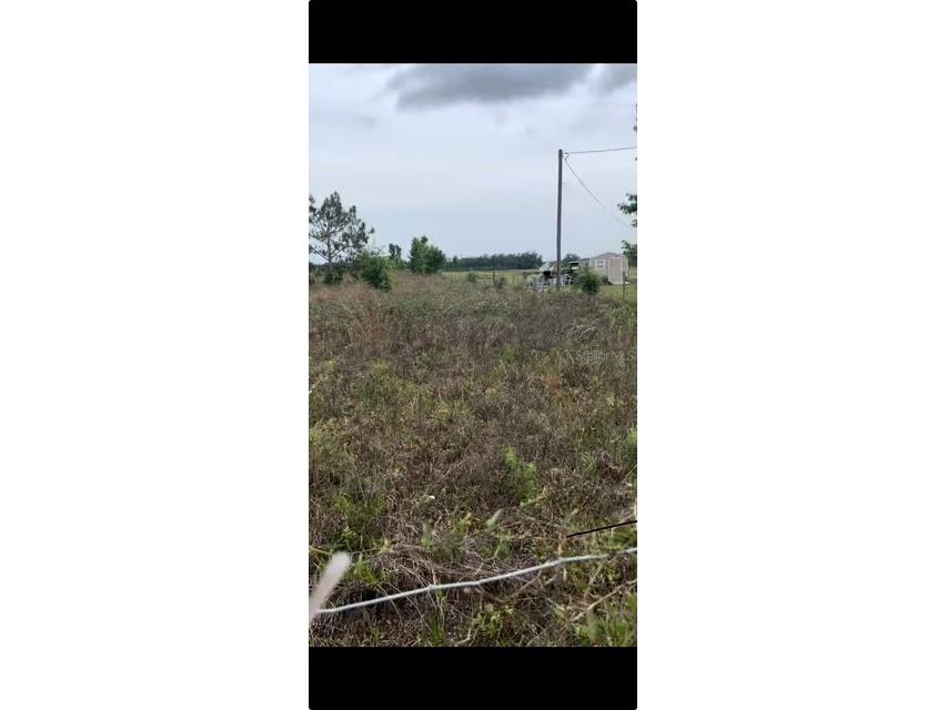 104th Street Live Oak FL 32060 W7878961 image3