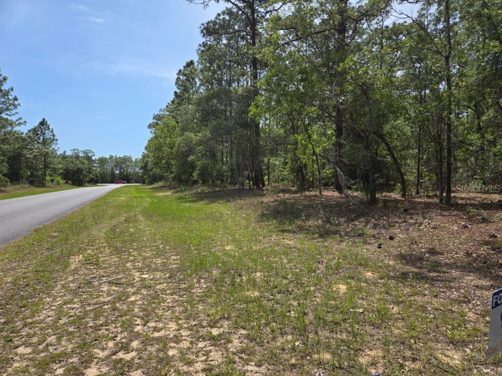 10804 N Adler Dr Citrus Springs FL 34434 TB8373983 image3