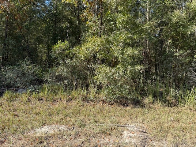 108th Avenue NE Bronson FL 32621 GC535697 image3