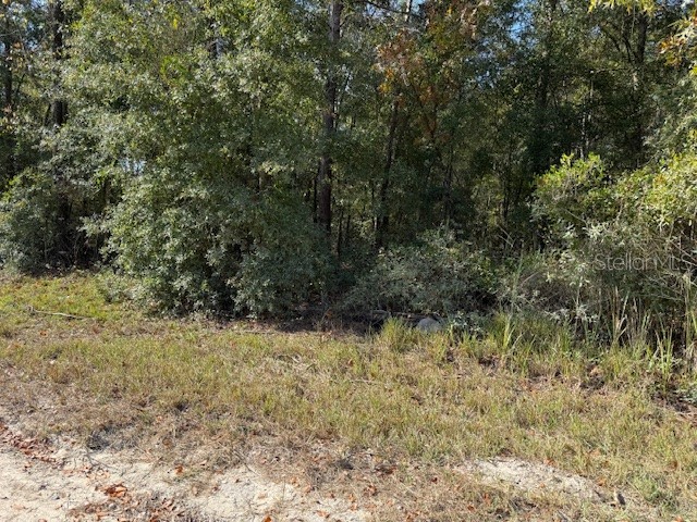 108th Avenue NE Bronson FL 32621 GC535697 image4