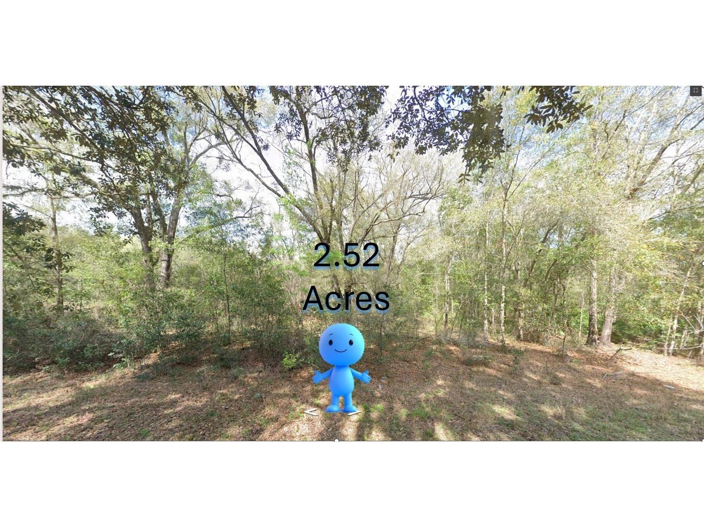 108th St Street SW Dunnellon FL 34432 TB8447400 image4