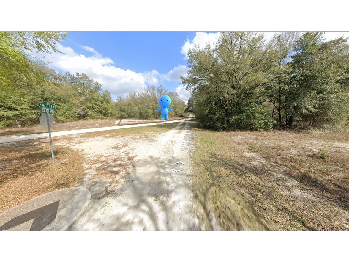 108th St Street SW Dunnellon FL 34432 TB8447400 image5