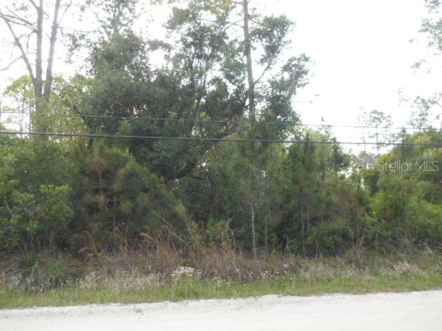 10th Avenue Deland FL 32724 V4929473 image1