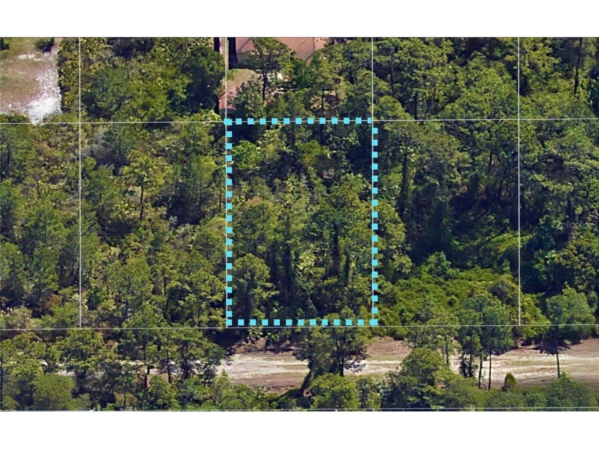 10th Avenue Deland FL 32724 TB8461728 image1