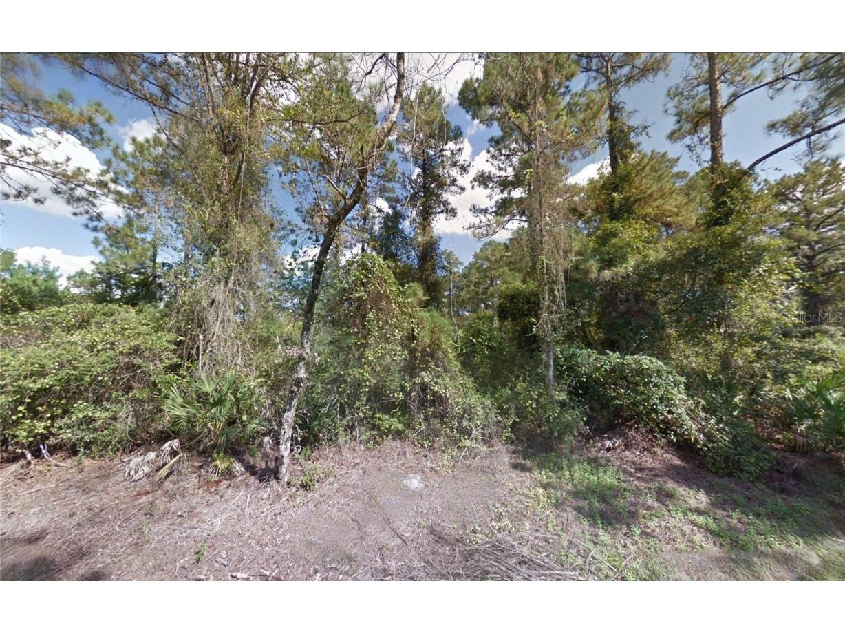 10th Avenue Deland FL 32724 TB8461728 image2