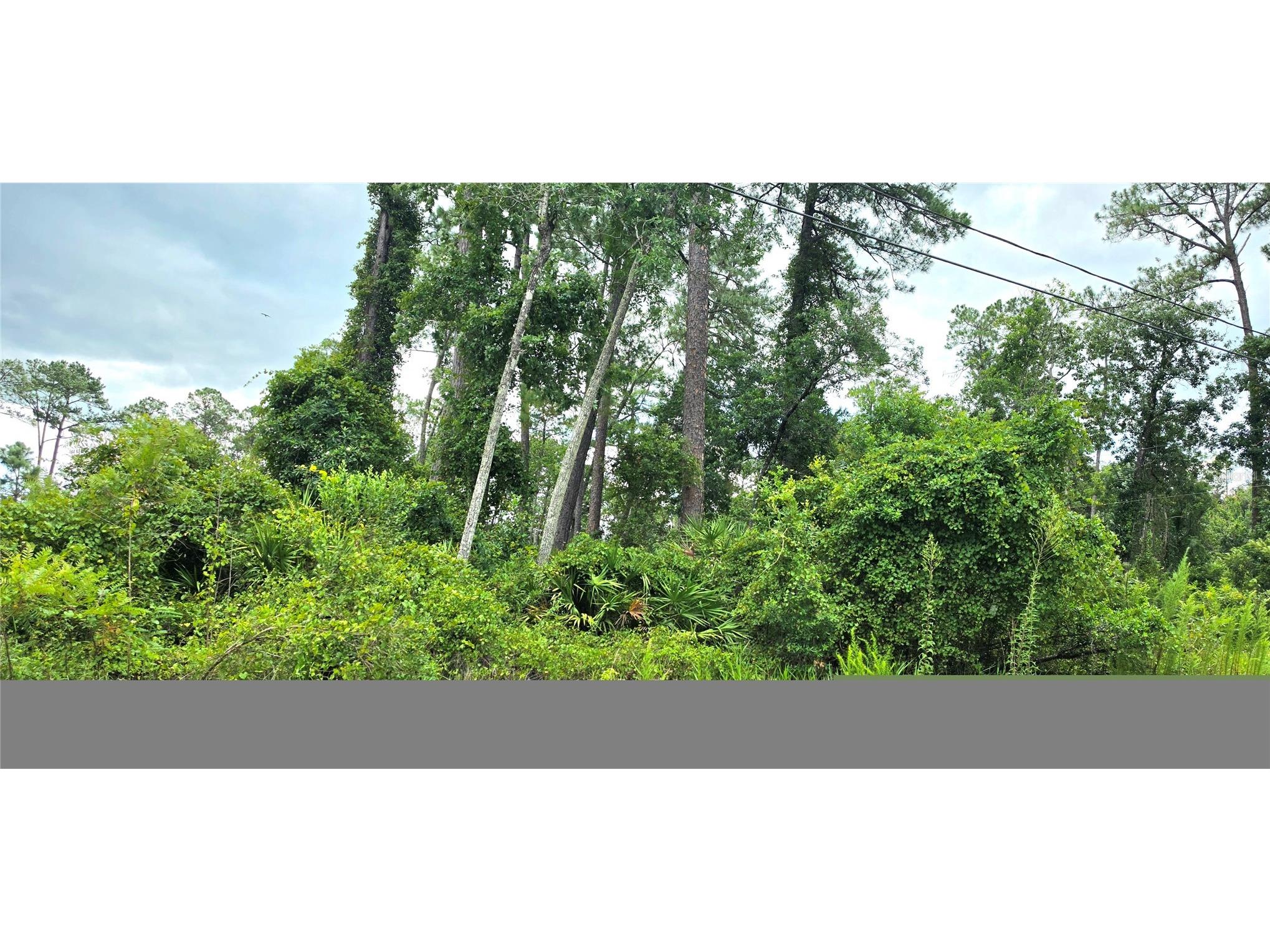 10th Avenue Deland FL 32724 V4950075 image3