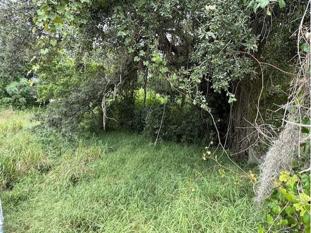 10th Street S Haines City FL 33844 O6343784 image2