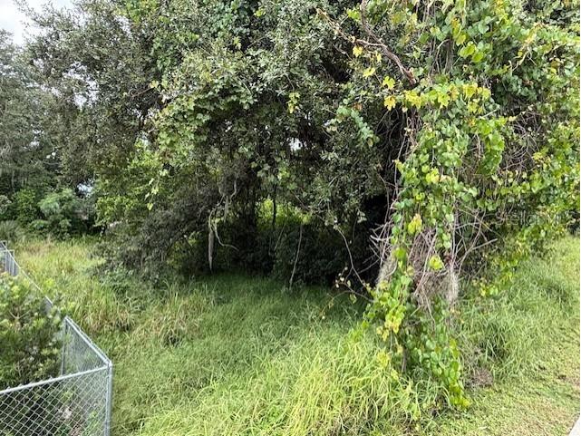 10th Street S Haines City FL 33844 O6343784 image3