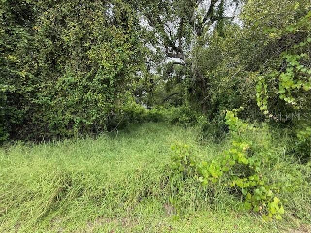 10th Street S Haines City FL 33844 O6343784 image4