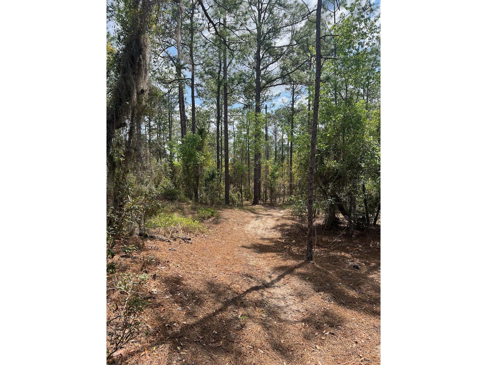 10th Street SE Williston FL 32696 OM722320 image1