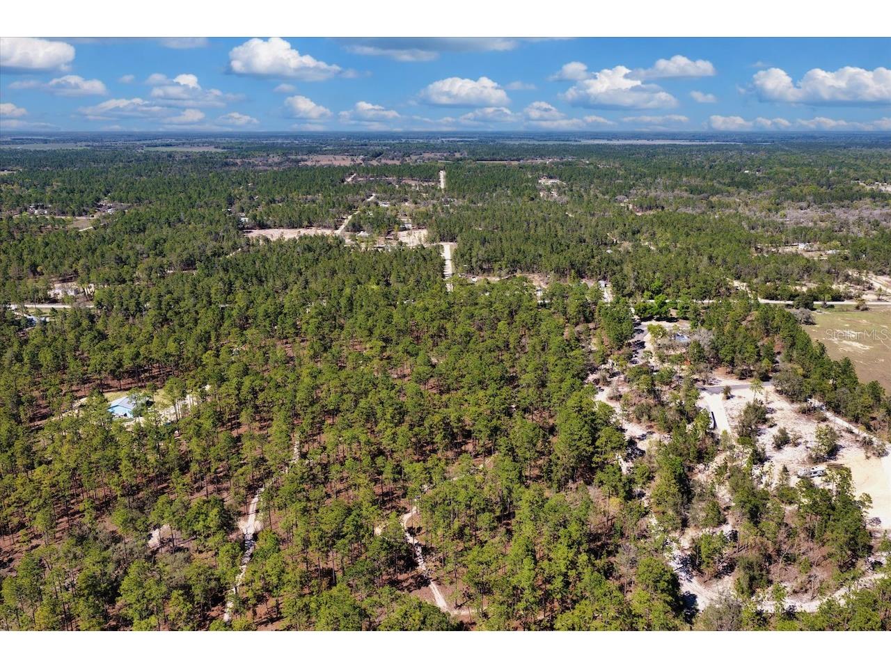 10th Street SE Williston FL 32696 OM722320 image10