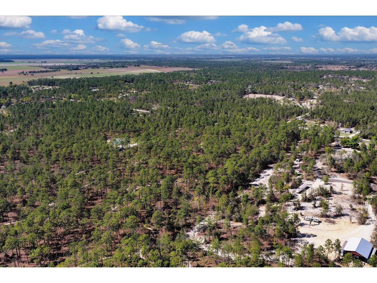 10th Street SE Williston FL 32696 OM722320 image11