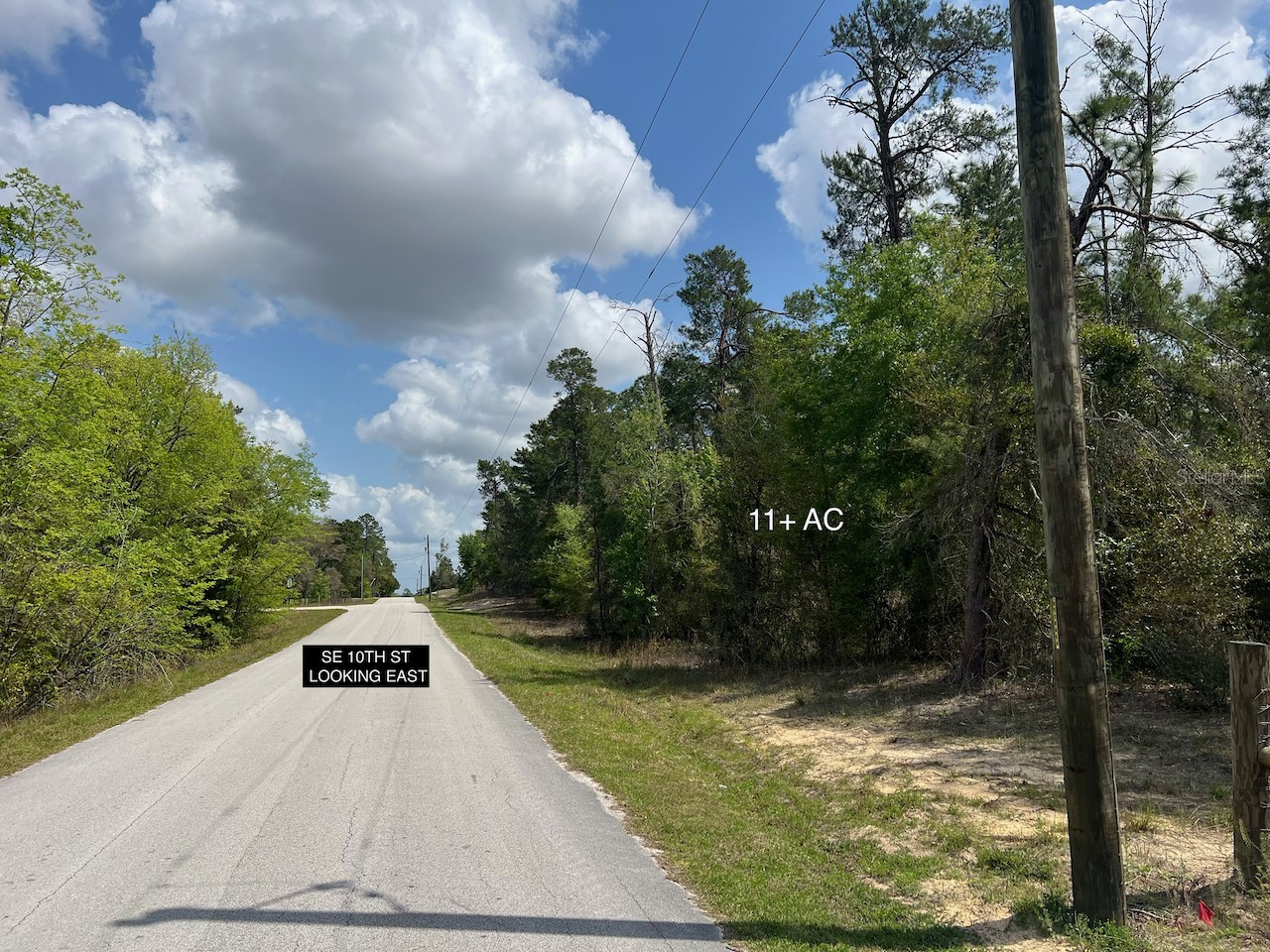 10th Street SE Williston FL 32696 OM722320 image14