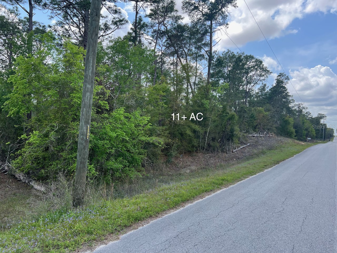 10th Street SE Williston FL 32696 OM722320 image19