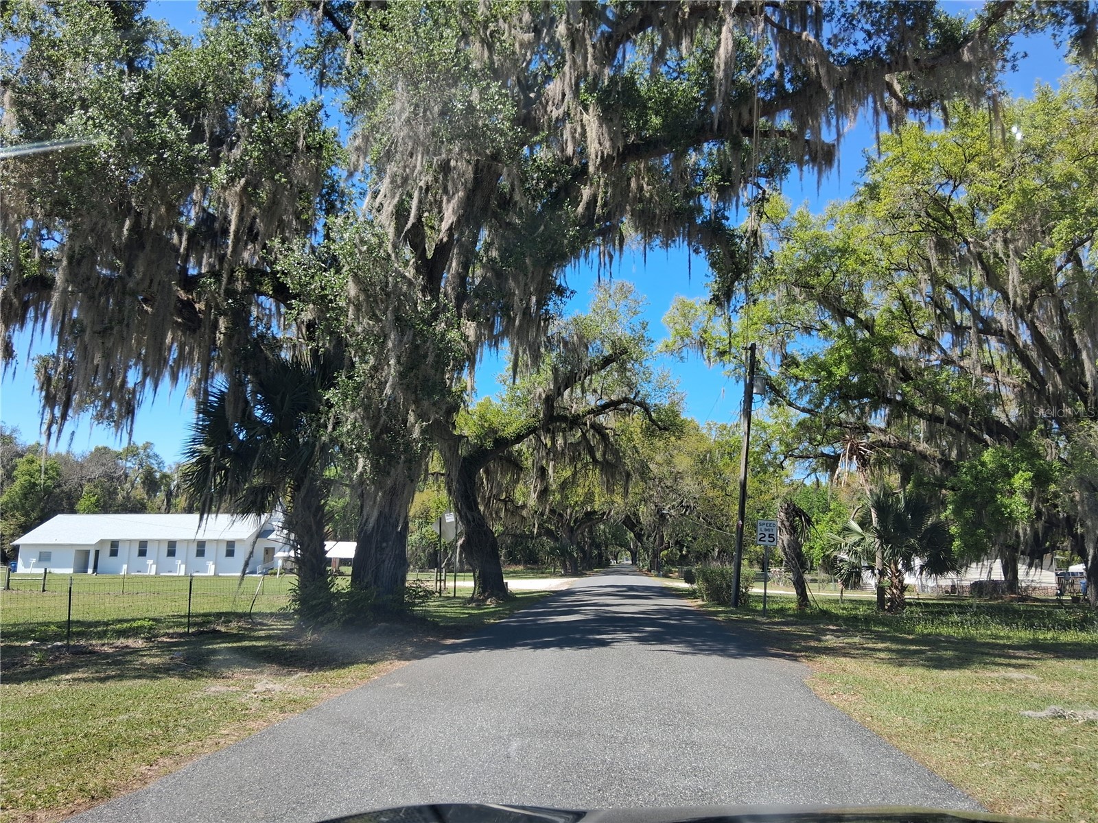 10th Street Webster FL 33597 G5109842 image3