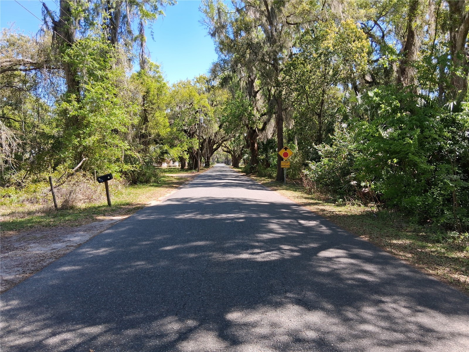 10th Street Webster FL 33597 G5109842 image4