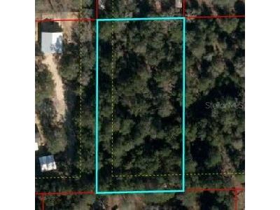 110 Bronson FL 32621 OM702912 image1