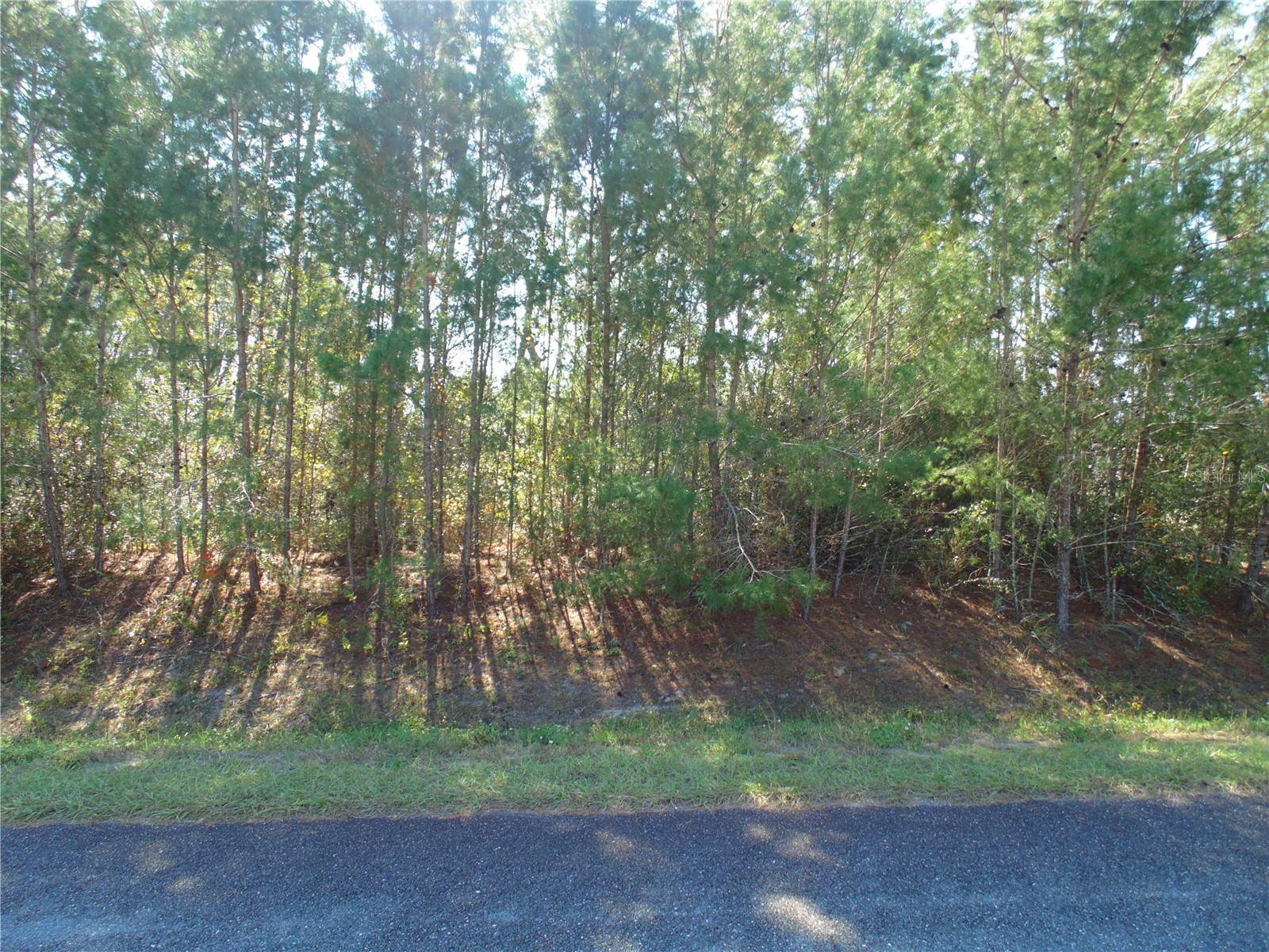 112 Ocala FL 34476 OM713502 image1