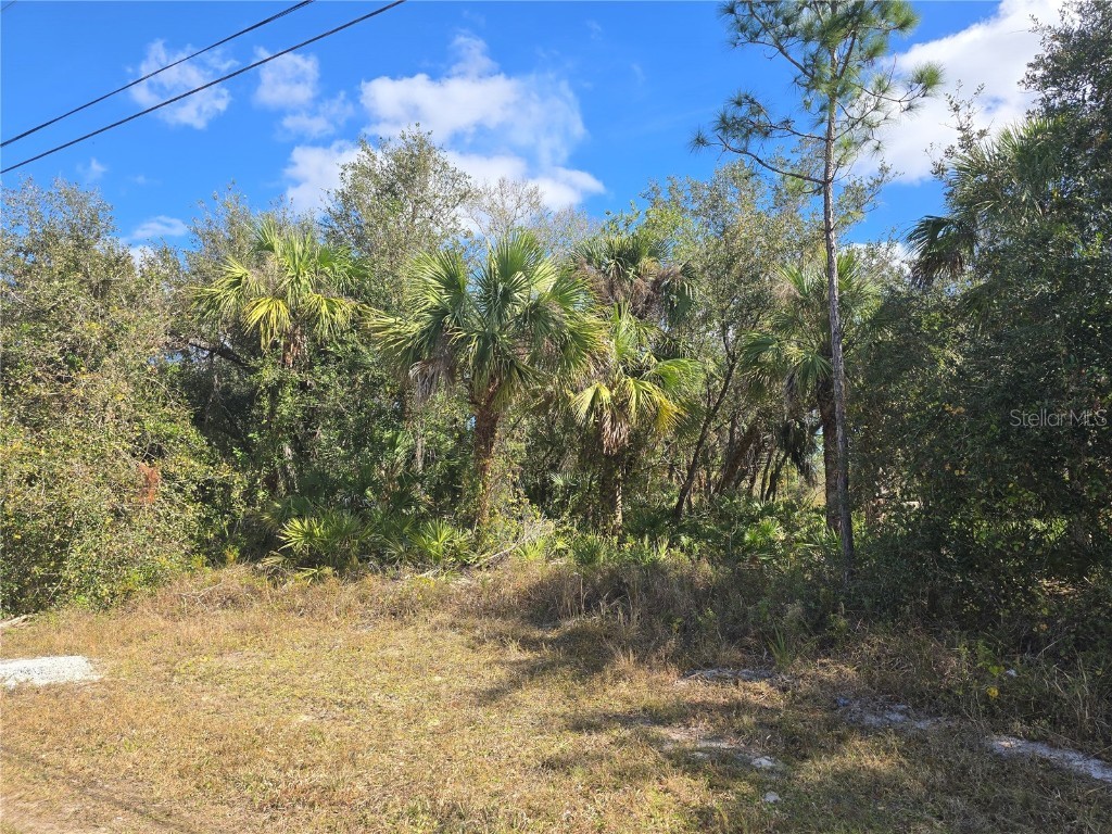 1133105509 & 1133105510 Lakeport Street North Port FL 34288 N6136681 image1