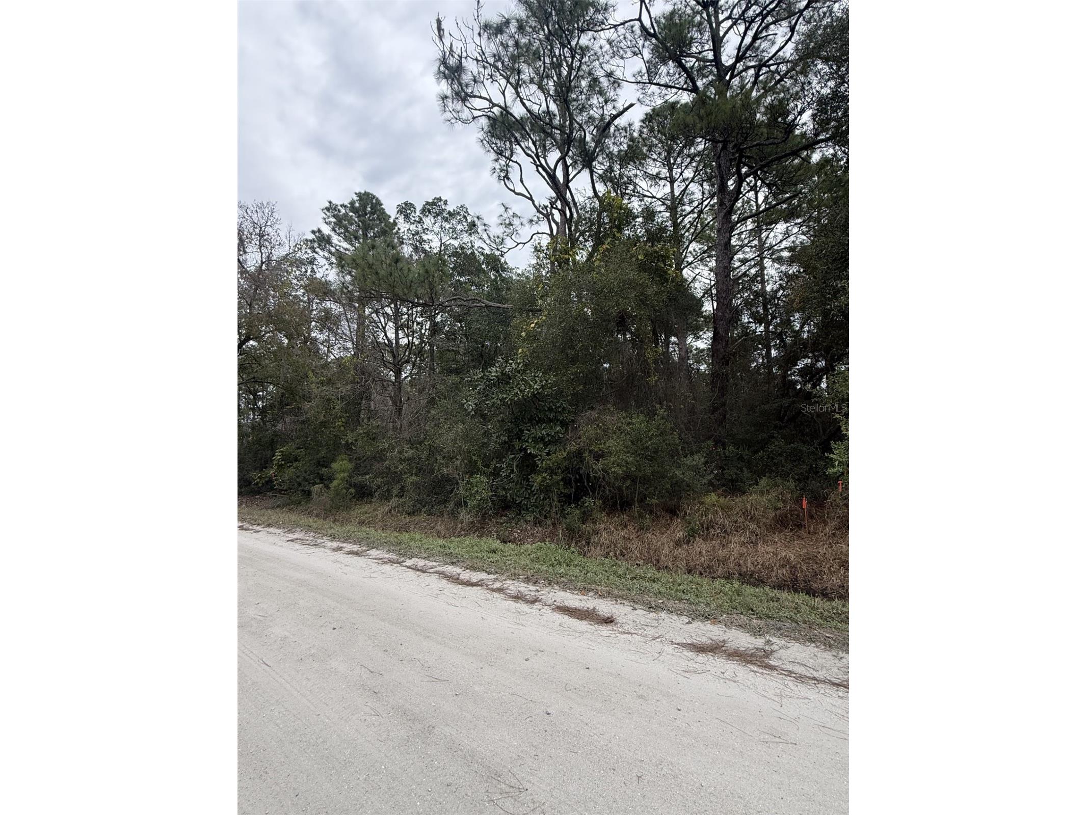 1149 6th Ave Deland FL 32724 V4946478 image1