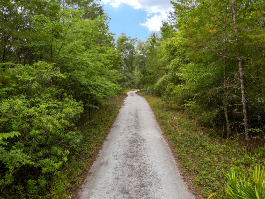 114th Avenue Fort Mc Coy FL 32134 O6223218 image1