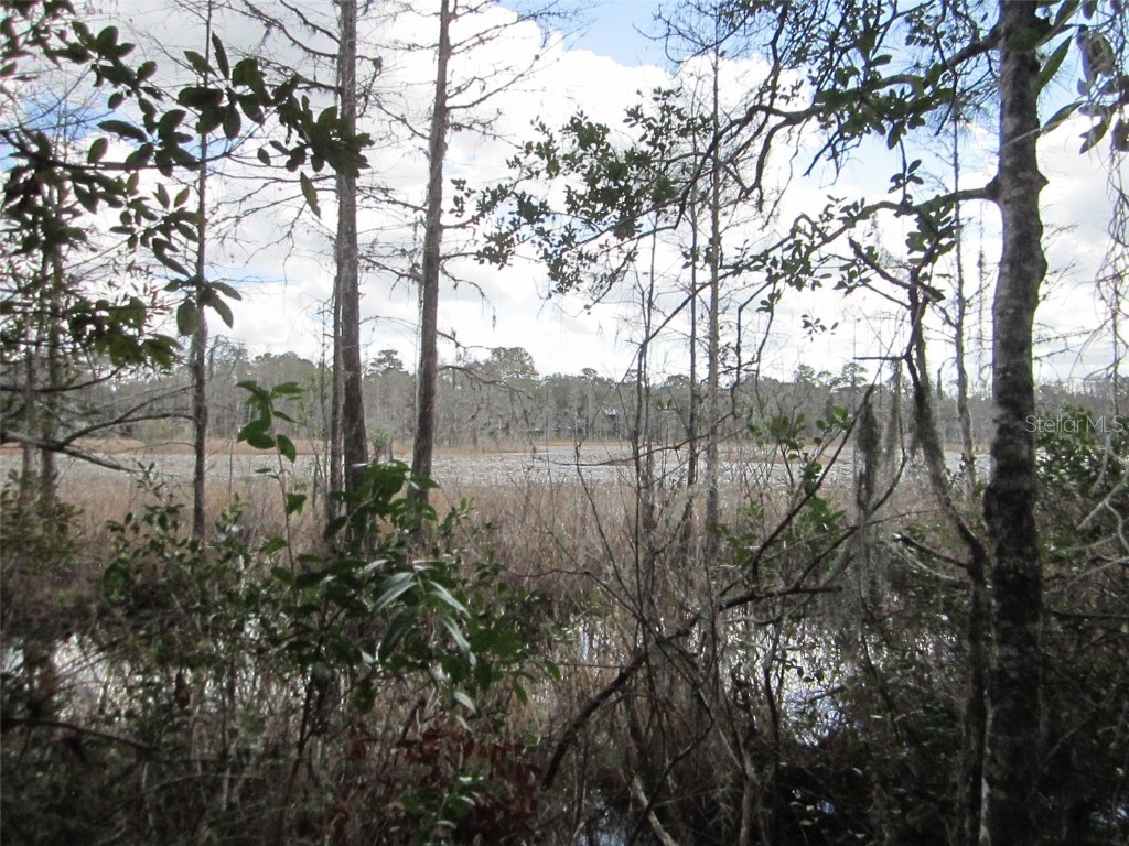 114th Avenue NE Fort Mc Coy FL 32134 OM633829 image1