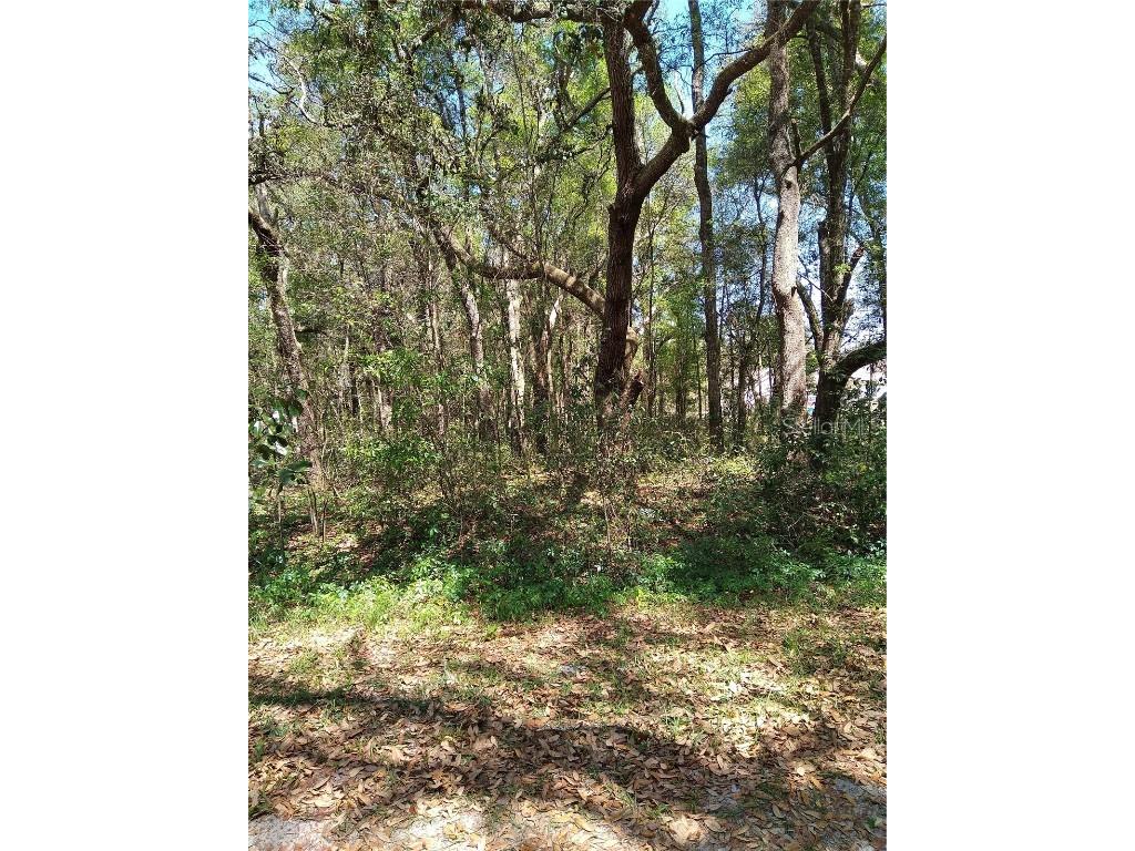 114th Lane Dunnellon FL 34432 OM647127 image1