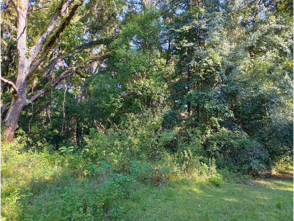 11704 N Landover Terrace Citrus Springs FL 34434 O6292963 image3