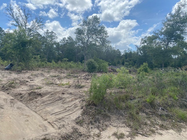 118th Bronson FL 32621 OM658125 image1