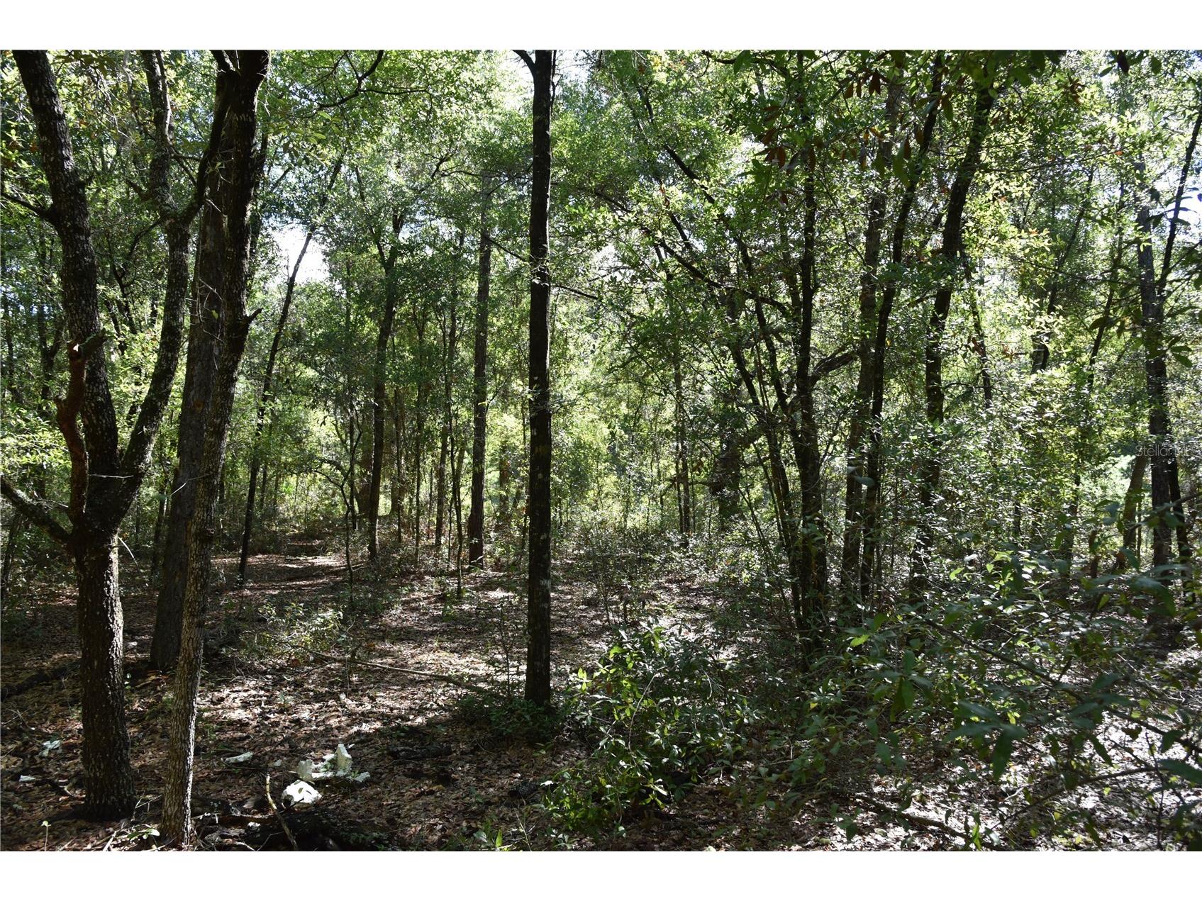 11st St Interlachen FL 32148 OM708262 image21