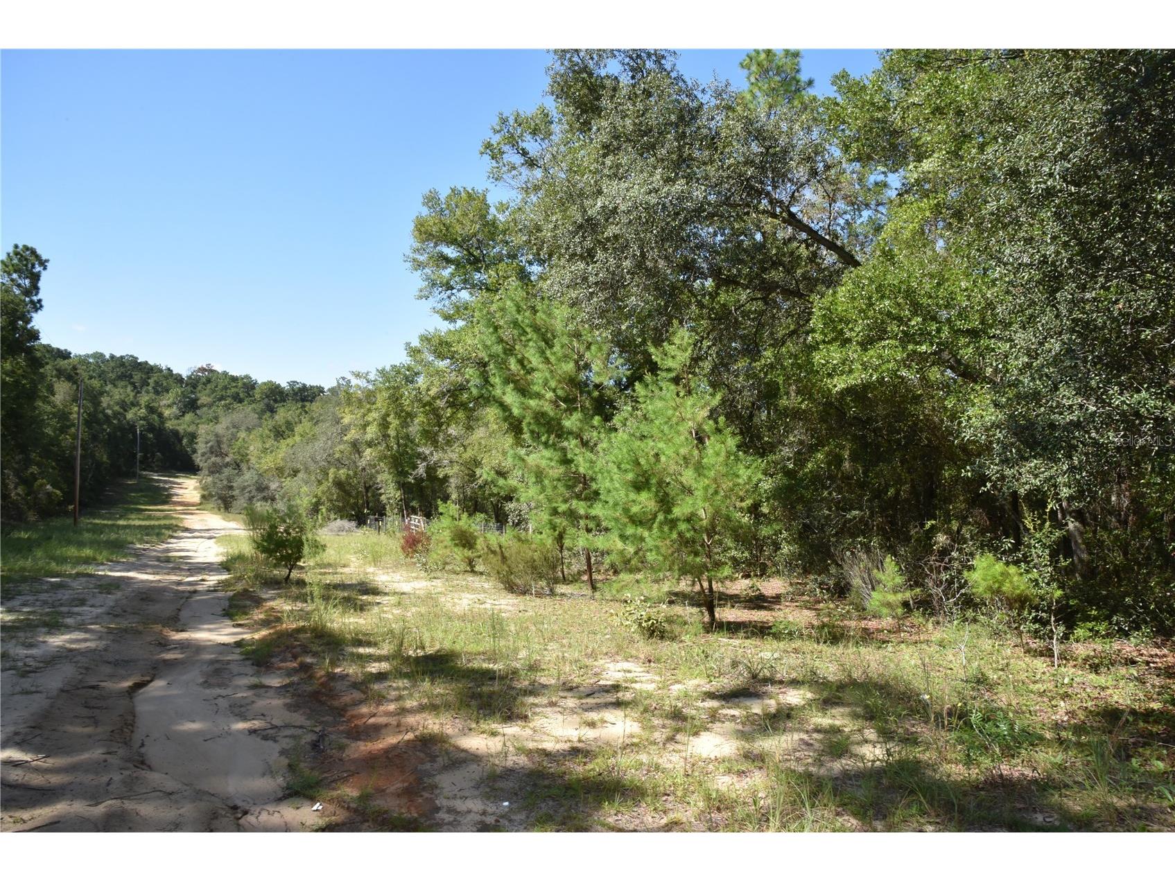 11st St Interlachen FL 32148 OM708262 image24