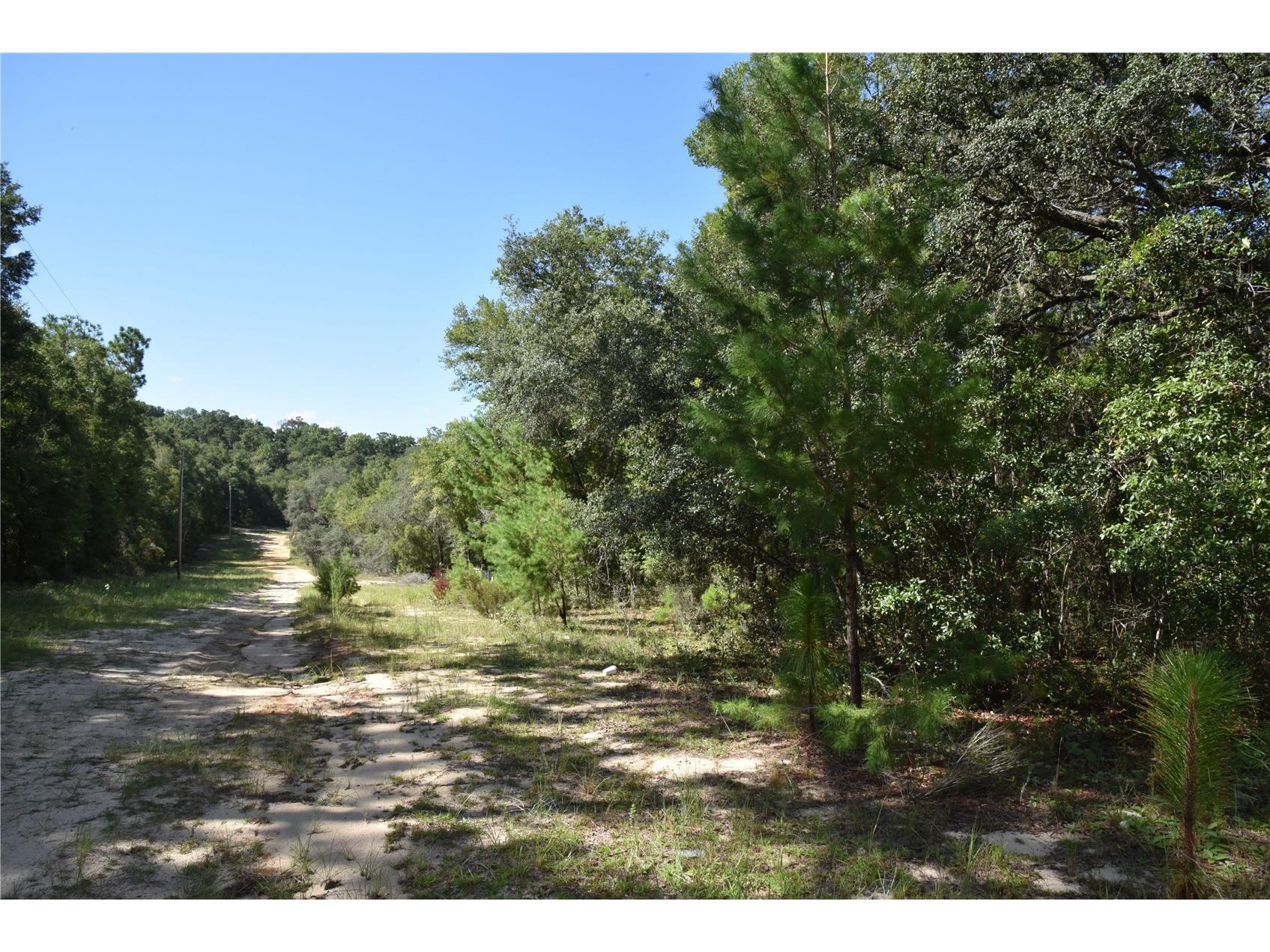 11st St Interlachen FL 32148 OM708262 image25