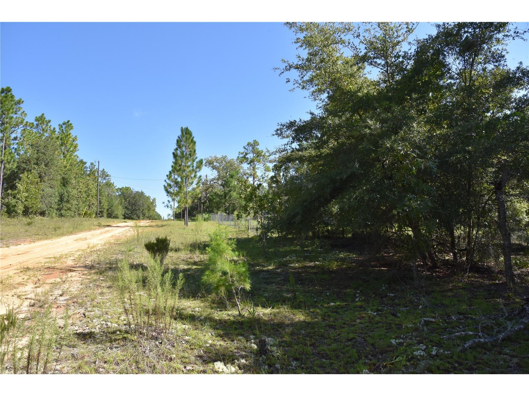 11st St Interlachen FL 32148 OM708262 image3