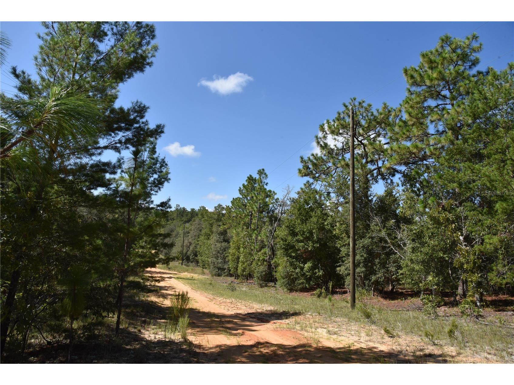 11st St Interlachen FL 32148 OM708262 image4