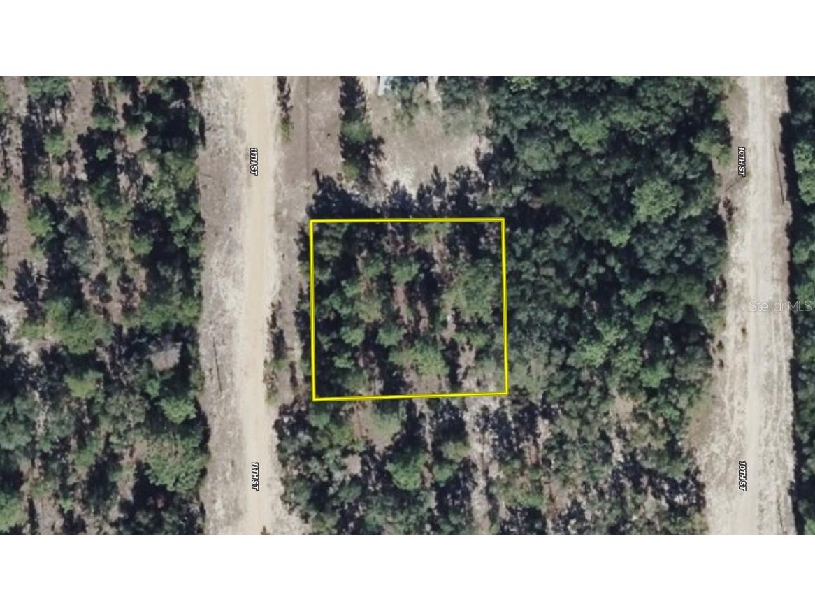 11st St Interlachen FL 32148 OM708262 image5