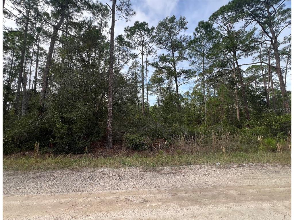 11th Avenue Deland FL 32724 O6157837 image1