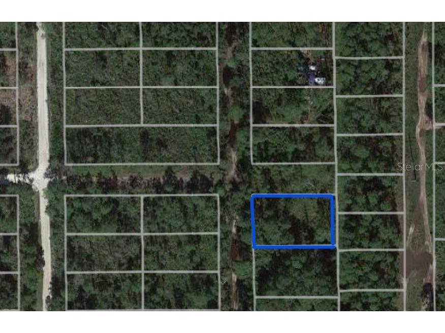 11th Avenue Deland FL 32724 V4920725 image1