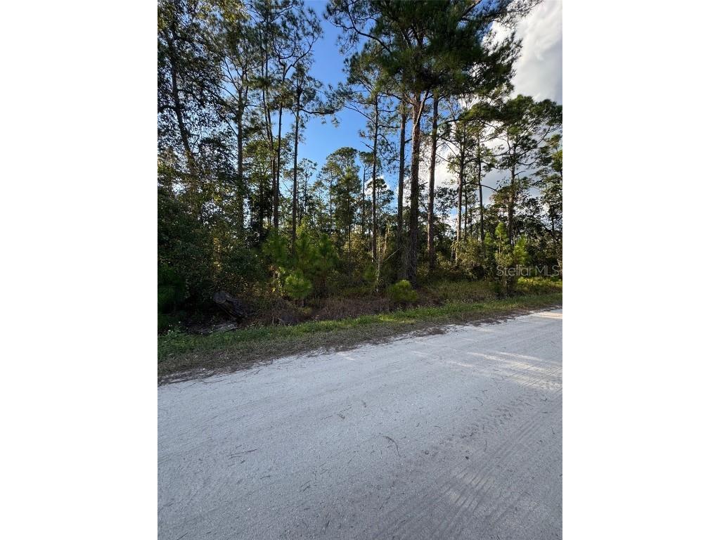 11th Avenue Deland FL 32724 O6359723 image2