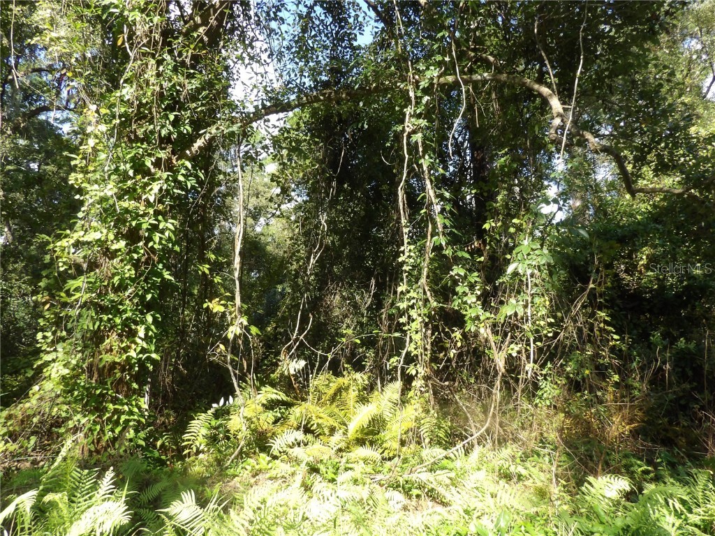 11th Avenue Deland FL 32724 V4938772 image1